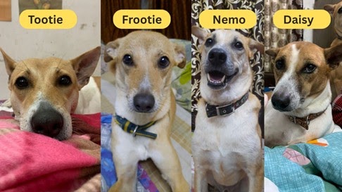 Tootie, Frootie, Nemo, and Daisy